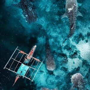 Meet your Posher, Carys